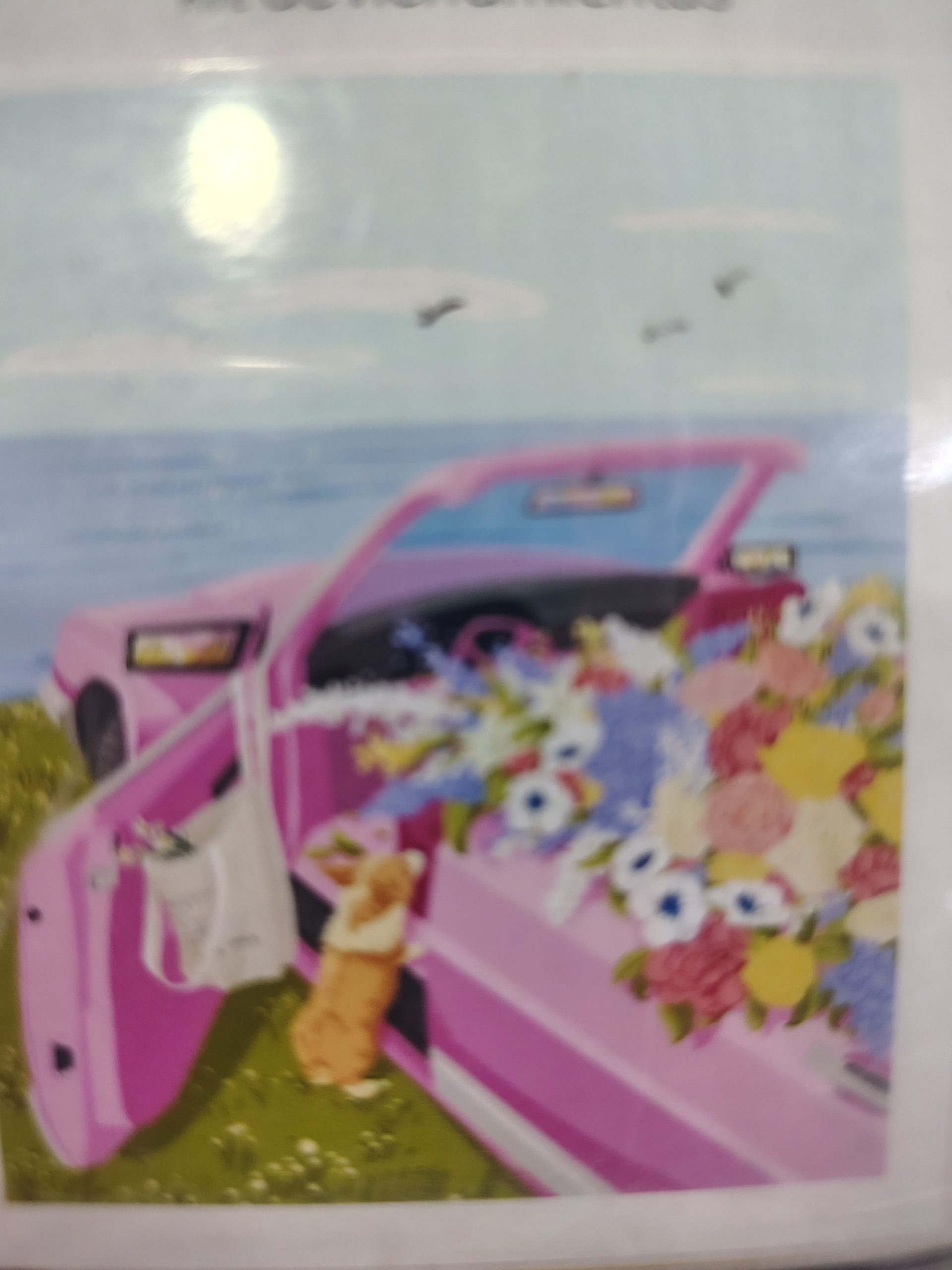 auto rosa