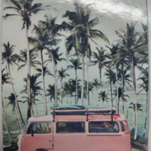 playa con van