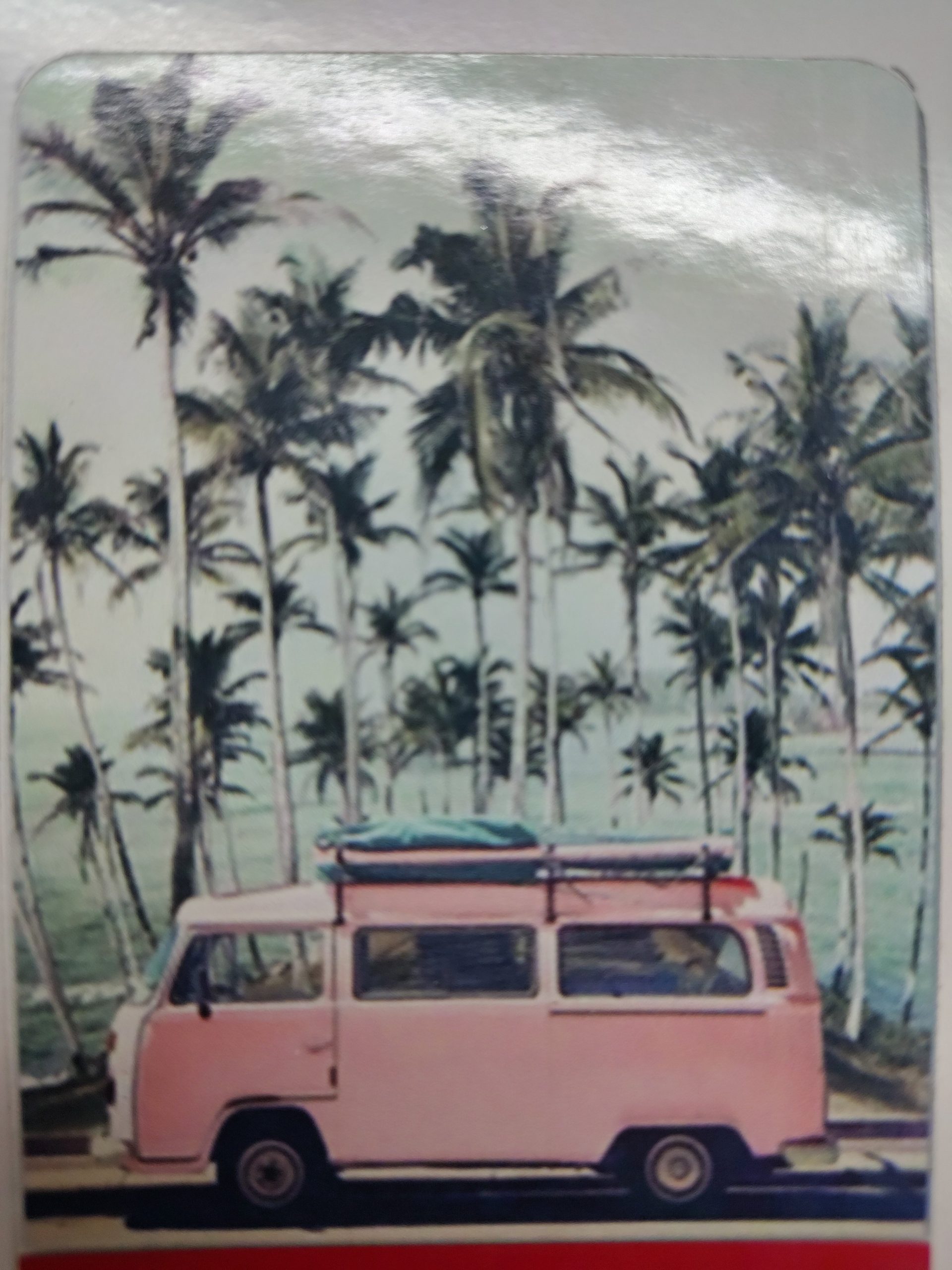 playa con van