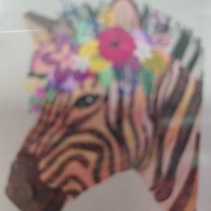 cebra y flores