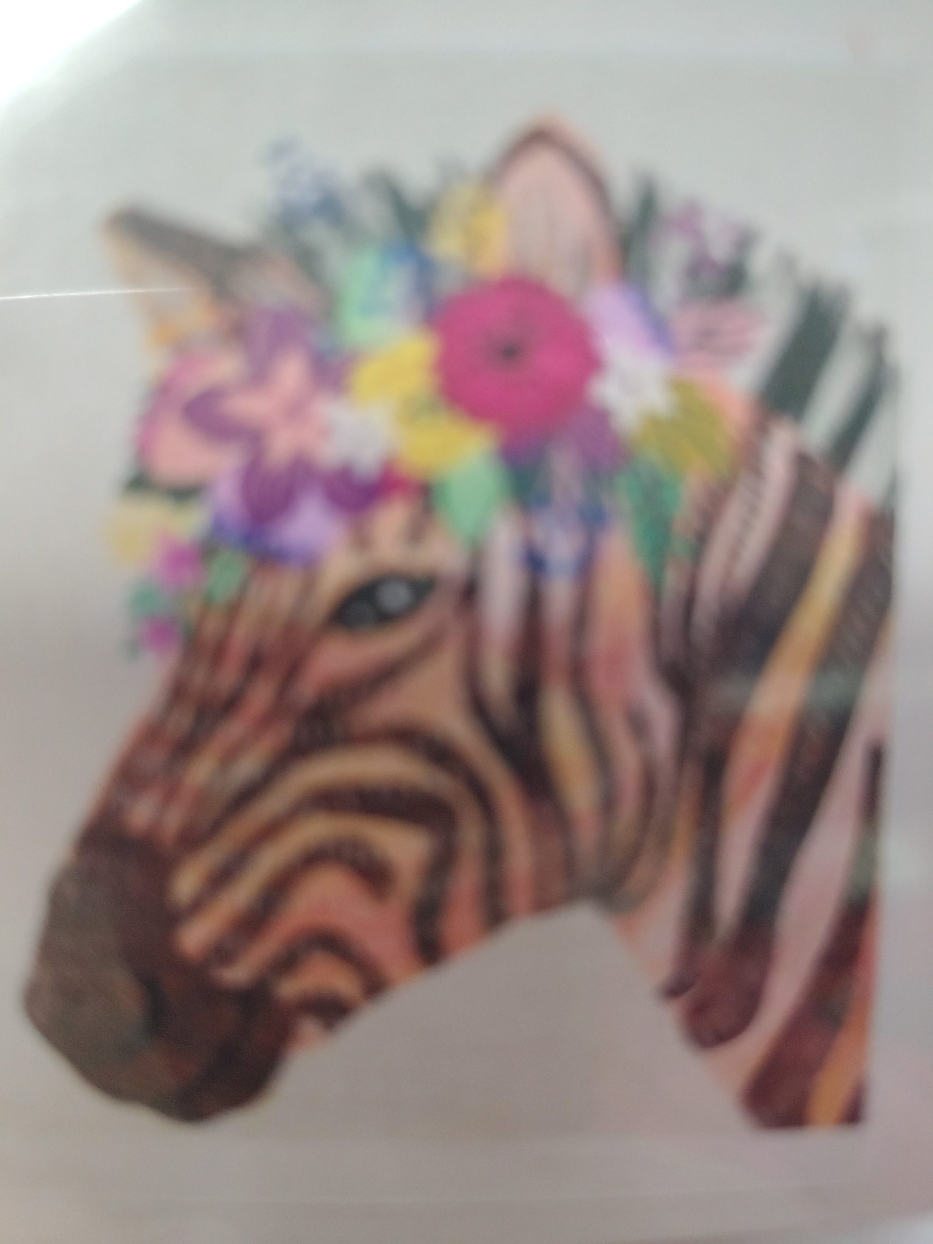 cebra y flores
